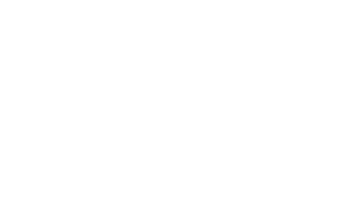 logo icon